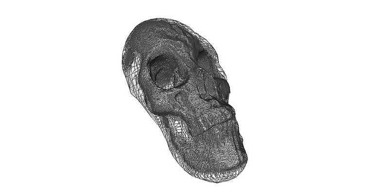 Skull Mesh 4